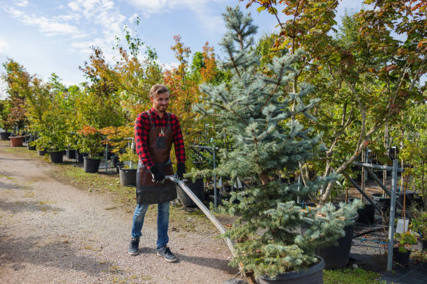 Best Weed Control  in Badger, AK